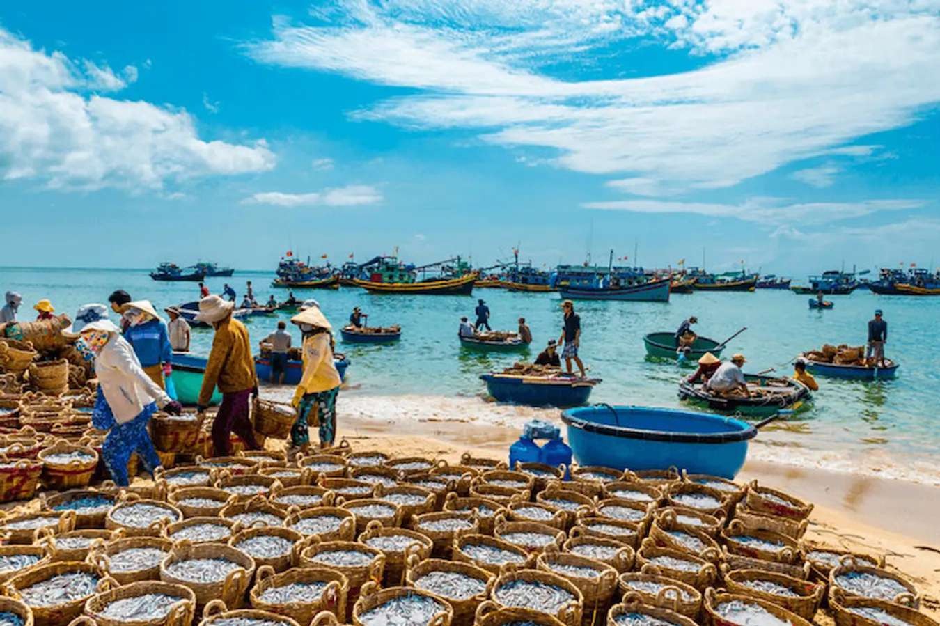 Lựa chọn dòng xe phù hợp cho chuyến viễn du