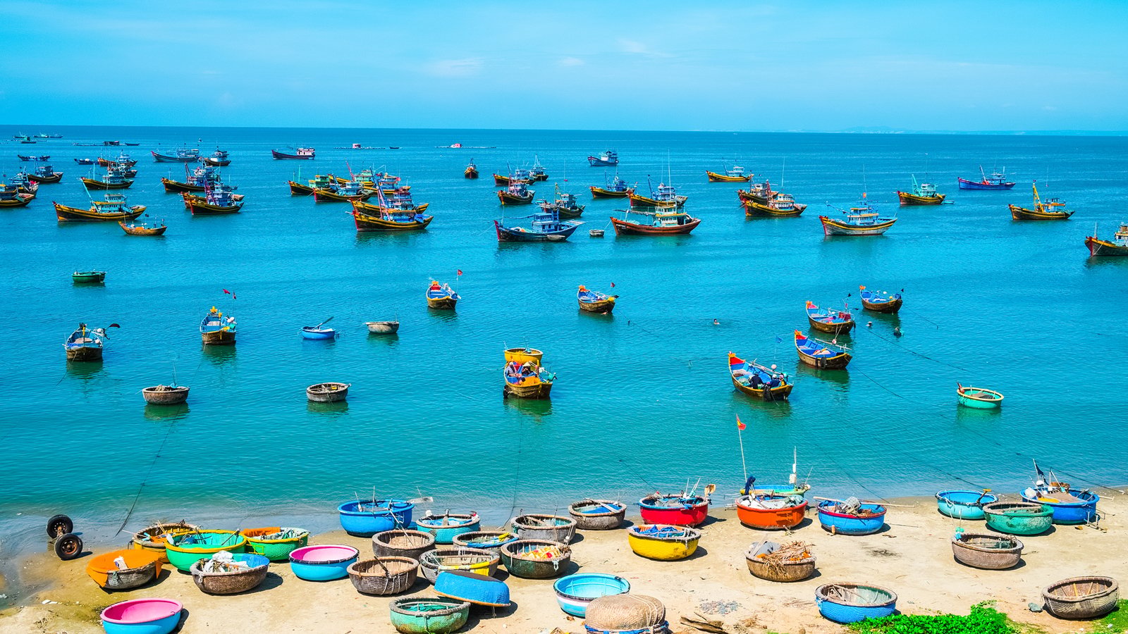 Trải nghiệm dịch vụ vận tải chuyên nghiệp và đa dạng