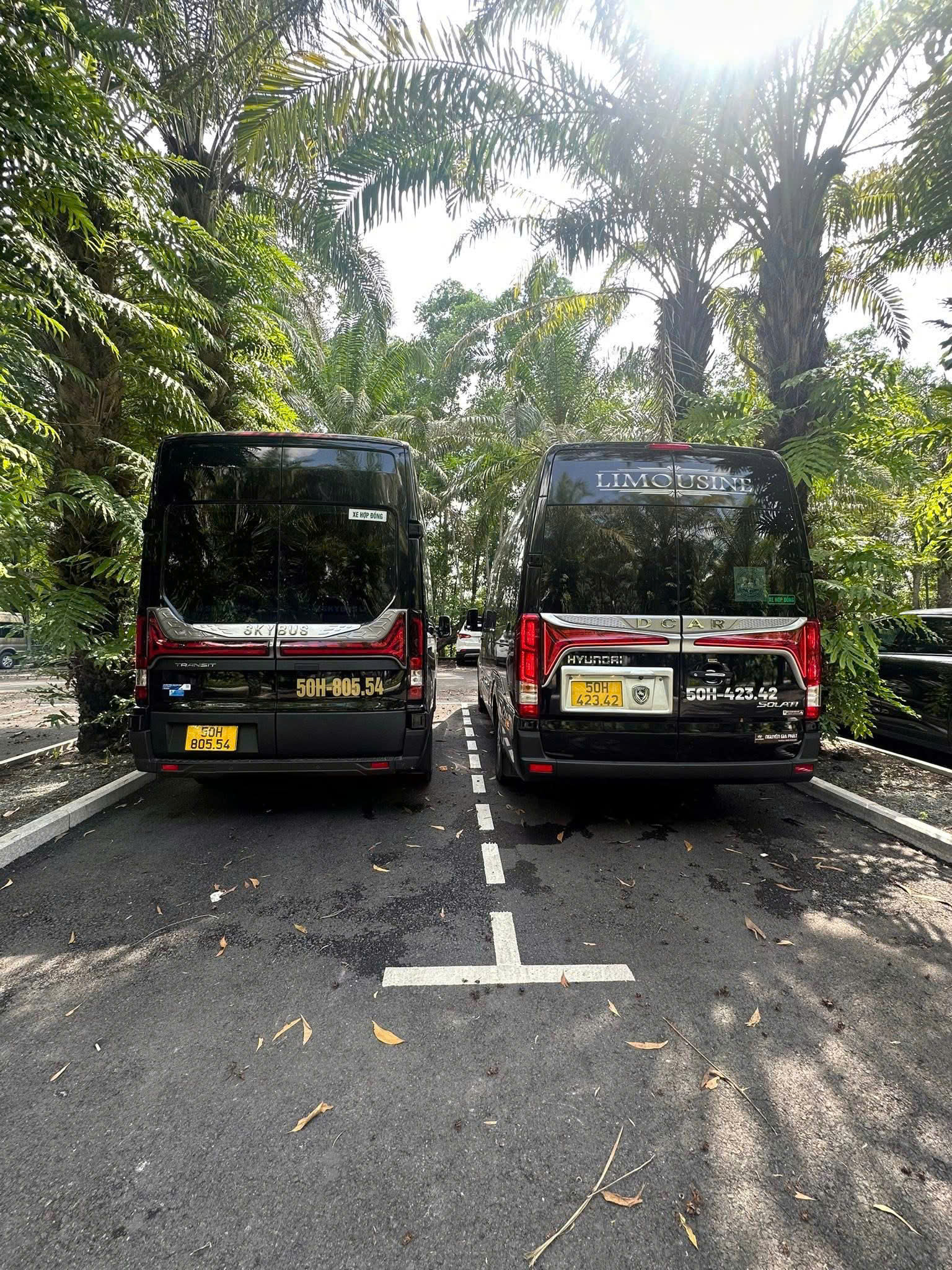 Giải pháp di chuyển toàn diện và đẳng cấp cùng Công Hợp Transport
