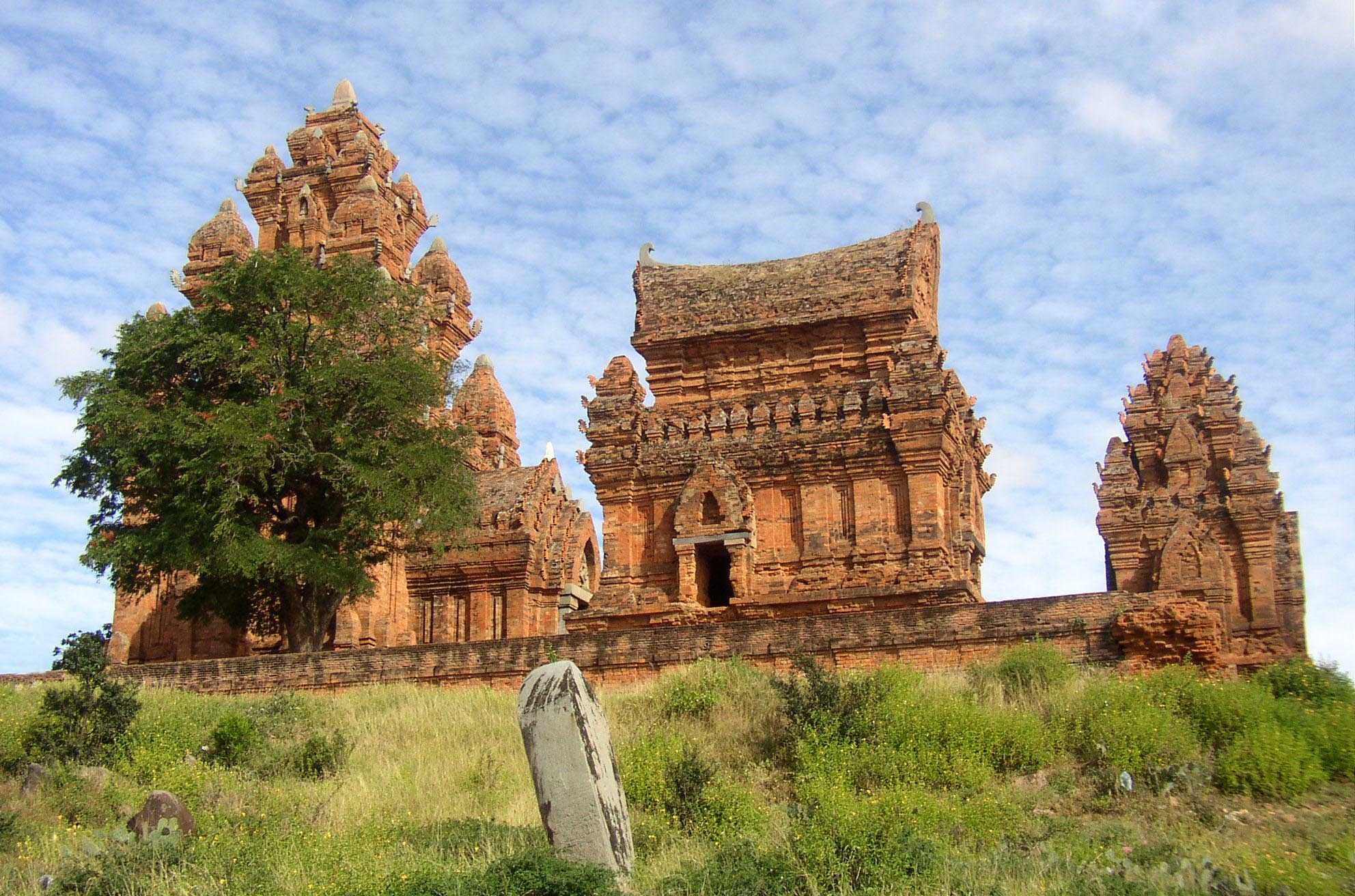 Tuyến Phan Rang - Sài Gòn Hành trình kết nối giữa nắng gió Ninh Thuận và nhịp sống Sài Thành