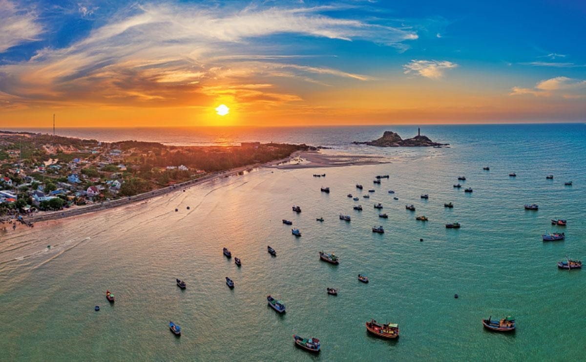 Thiết kế riêng cho những dịp đặc biệt